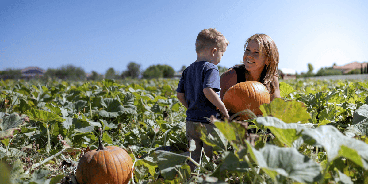 agritainment-what-insurance-you-need-farmers